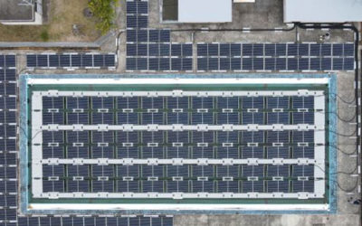 Floating solar goes swimming