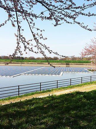 Umenoki, JAPAN