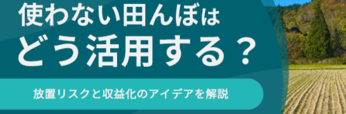 使わない田んぼはどう活用する？放置リスクと収益化のアイデアを解説