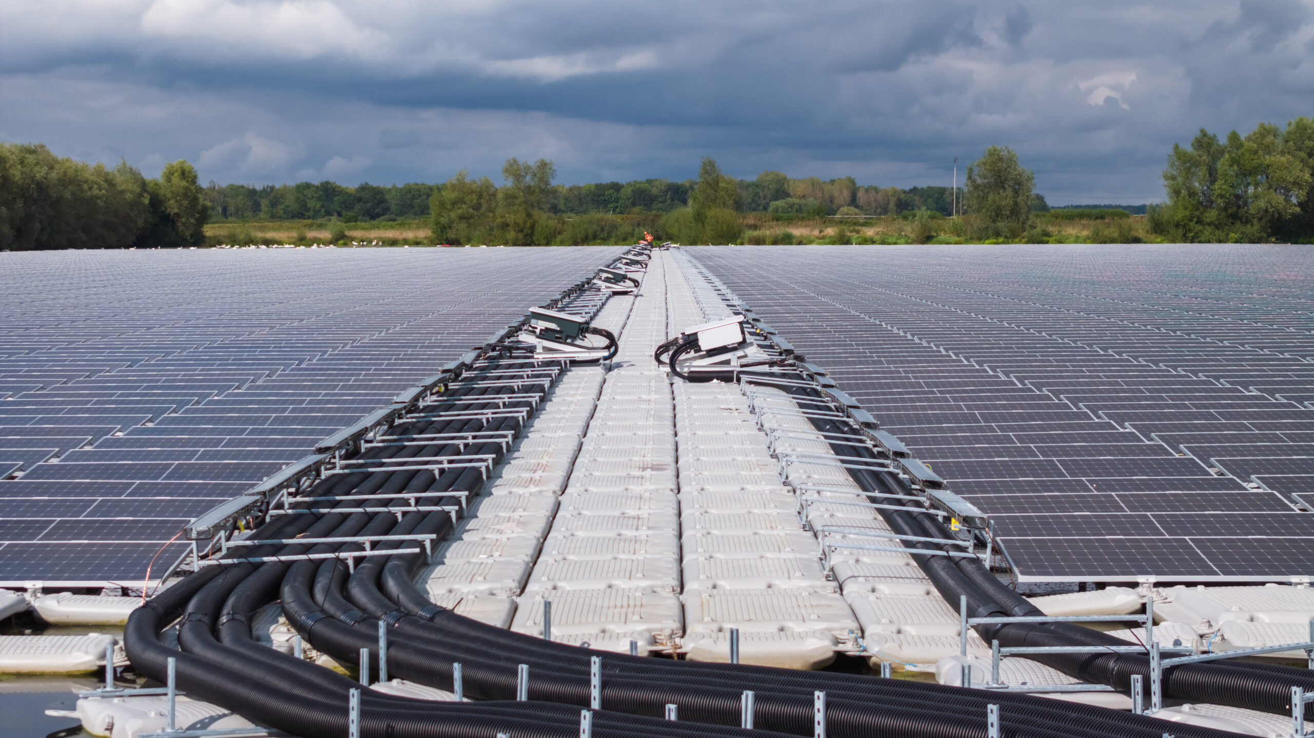 construction manager FPV france