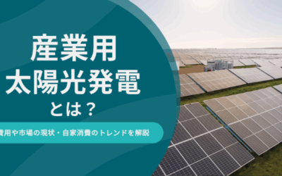 産業用太陽光発電とは？費用や市場の現状・自家消費のトレンドを解説
