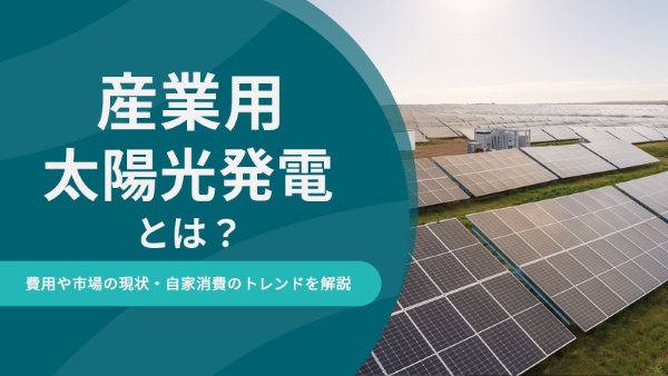 産業用太陽光発電とは？費用や市場の現状・自家消費のトレンドを解説