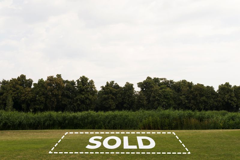 onsite PPA ciel terre Japan